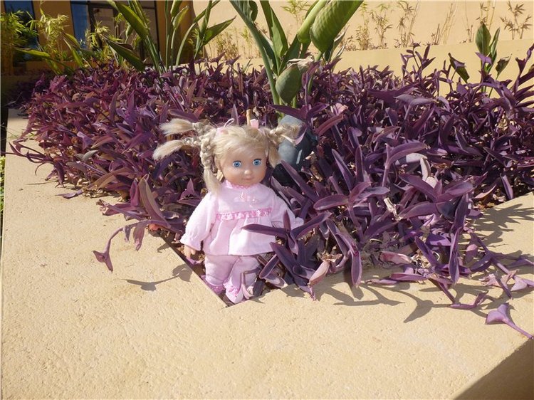 Кукольный шок или Светланка в Арабских Эмиратах