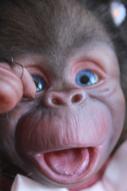 Манюня - обезьянка реборн Элины Кудрявцевой (фото 3)