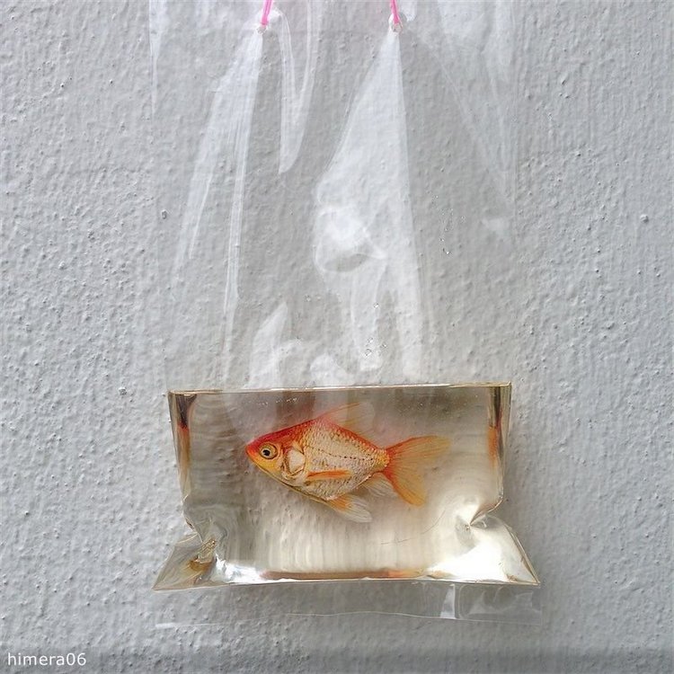 Живопись акрилом и лаком от Кенга Лая (Keng Lye)