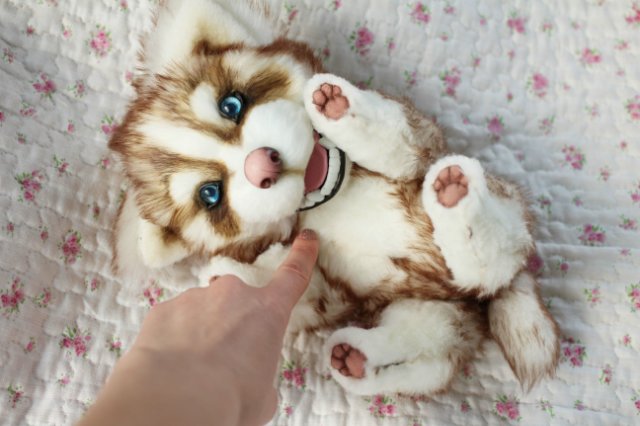 Шоколадный хаски Тофи | Бэйбики Шоколадный хаски Тофи — Авторские мишки Тедди и друзья: фото (фото 5)