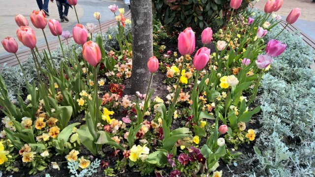 Сочи-парк, или, Русский Диснейленд. Часть 2