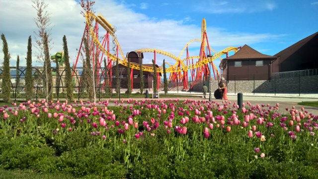 Сочи-парк, или, Русский Диснейленд. Часть 1 | Бэйбики Сочи-парк, или, Русский Диснейленд. Часть 1