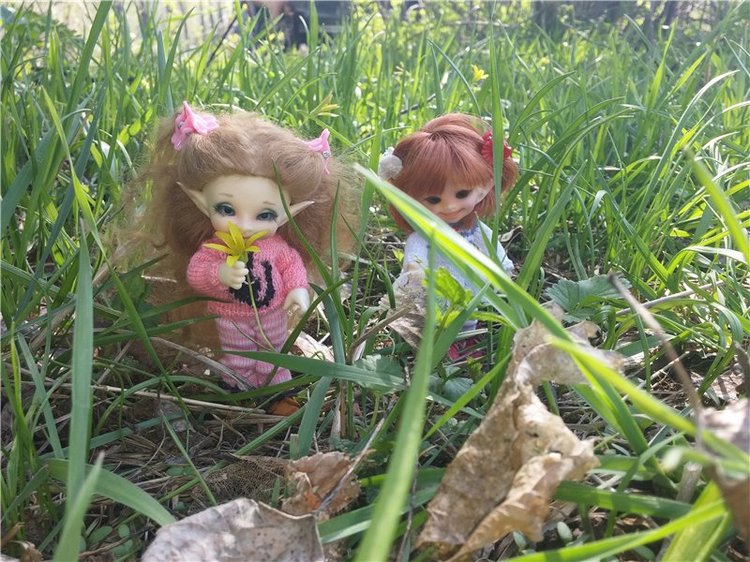 Поездка за подснежниками. Или просто Корппи | Бэйбики Поездка за подснежниками. Или просто Корппи (фото 6)