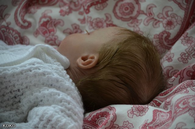 Кристалетта и Коко. Куклы реборн Регины Мальниченко