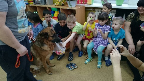 Зверики для Зайчиков....Или о том,что мы отдаем миру | Бэйбики Зверики для Зайчиков....Или о том,что мы отдаем миру