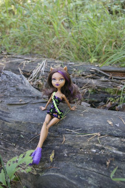 Как Лиу и Клодин за грибами ездили