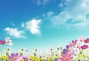 Марселька и тролли рассаду сажали, а бабочка с пчелкой им помогали... По следам конкурса "Моя Весна"