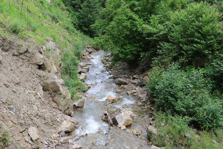 Те, кто нас любит и в домашнем халате, и без косметики, и растрепанными | Бэйбики Те, кто нас любит и в домашнем халате, и без косметики, и растрепанными