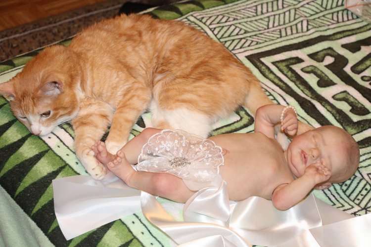 Кукла реборн Серафима. Молд Americus (фото 7)