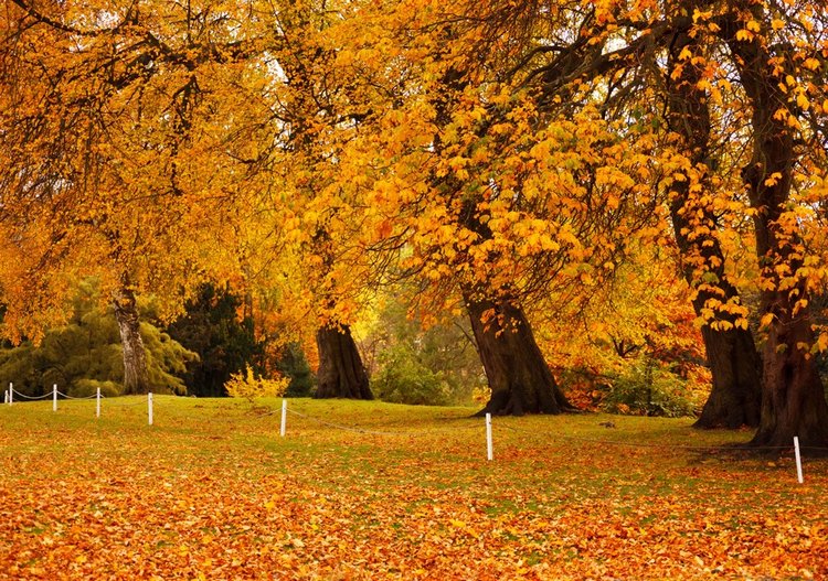 Красотка-осень — Болталка и разговоры обо всем: жизнь