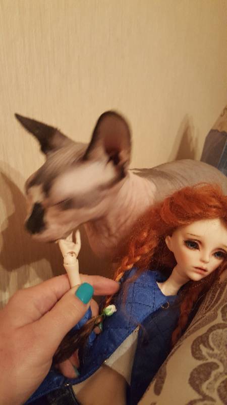 Случайная любовь в преддверии праздника (фото 7)