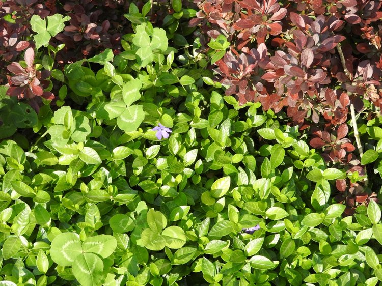 Словения, Светланка и маленький «герой» в одном ботинке