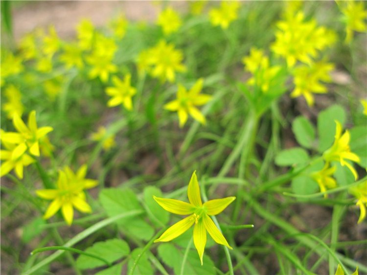 Майский день в Митино — Туризм и путешествия: фотоотчеты из поездок