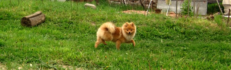 Кукла Нина. Мой подарок от подруги