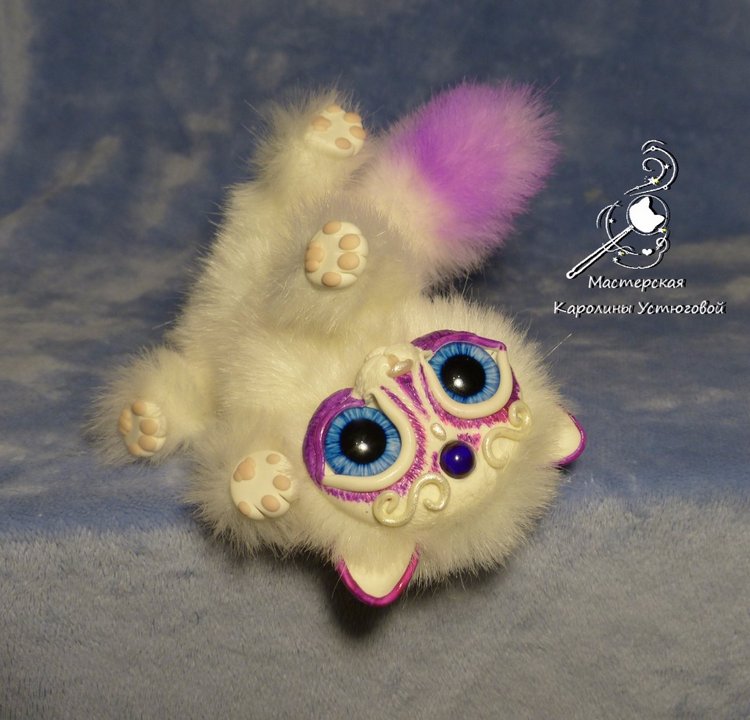 Королевский волшебный кот породы: Мирис. Фиолетовый (фото 9)