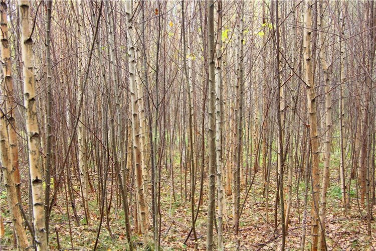 Тверской Водопад — Туризм и путешествия: фотоотчеты из поездок