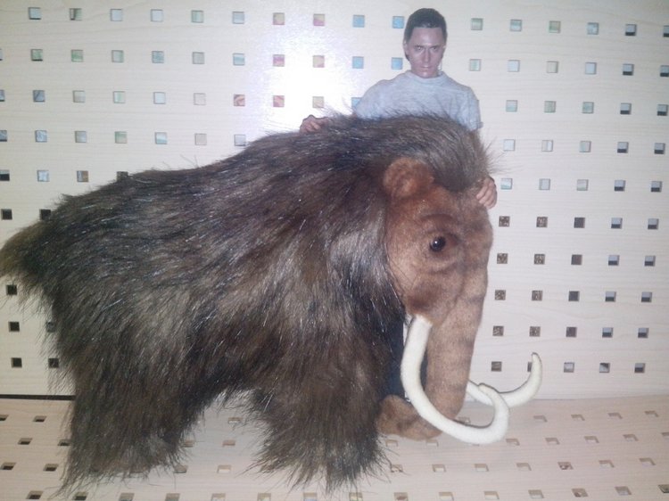 Коллекционные экшн (фото 5)