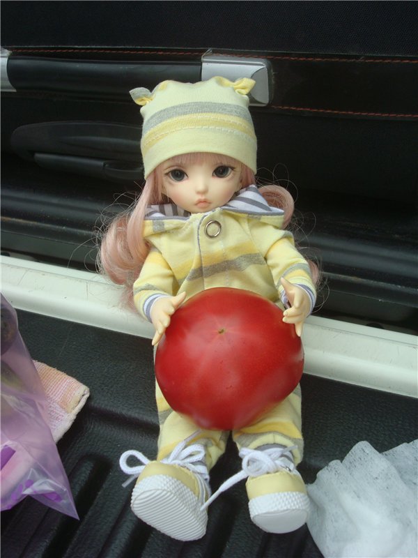 Моя нежная малышка Светлана. Луна Litllefee от Fairyland (фото 4)