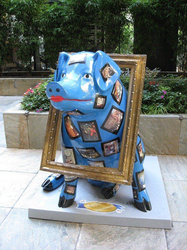 Сиэтл. Такие забавные свинки (фото 2)