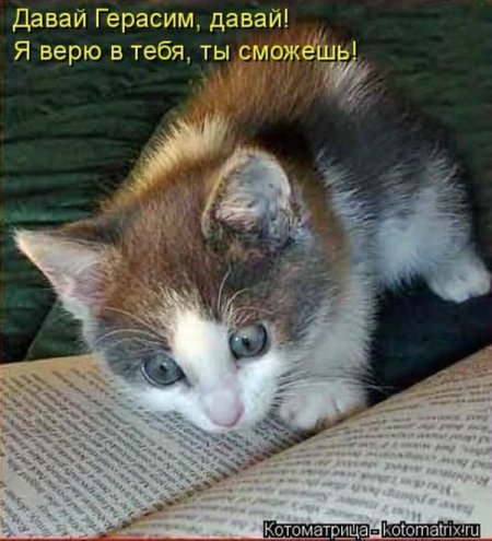 Море позитива) Для поднятия настроения (осторожно! много фото)))) | Бэйбики Море позитива) Для поднятия настроения (осторожно! много фото))))