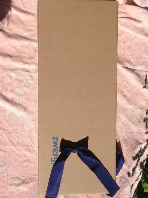 Zwergnase. Anneli. Распаковка и фотосессия