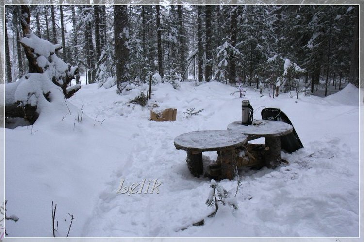 12 месяцев, или как Тамира за подснежниками ходила )