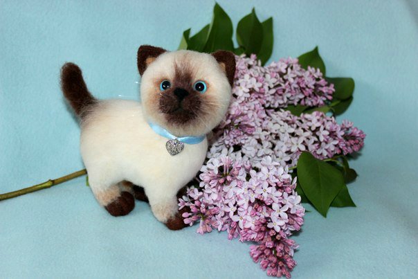 Котики моей сестры. Игрушки валянием из шерсти