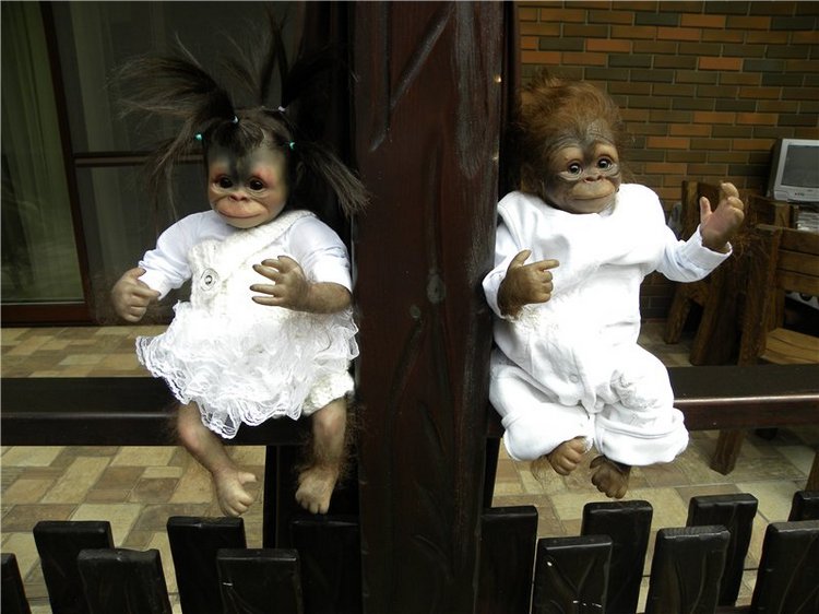 Необычное пополнение в моем доме (фото 5)