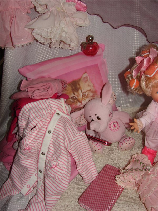 Розовый фламинго... или выбери меня, выбери меня, птица счастья завтрашнего дня