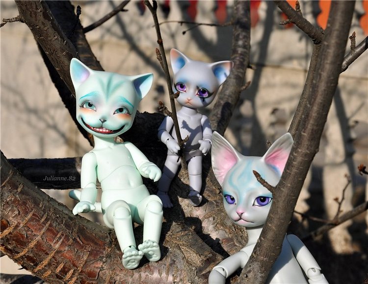 Коты прилетели... первые вестники весны (фото 6)