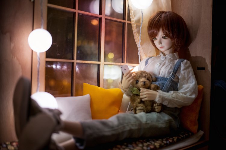 Неизвестный номер — Фотоистории с куклами BJD (БЖД): сериалы