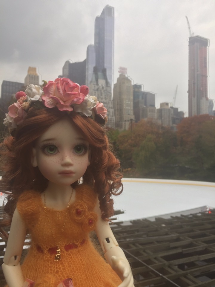 Луна гуляет в Центральном Парке в Манхаттане