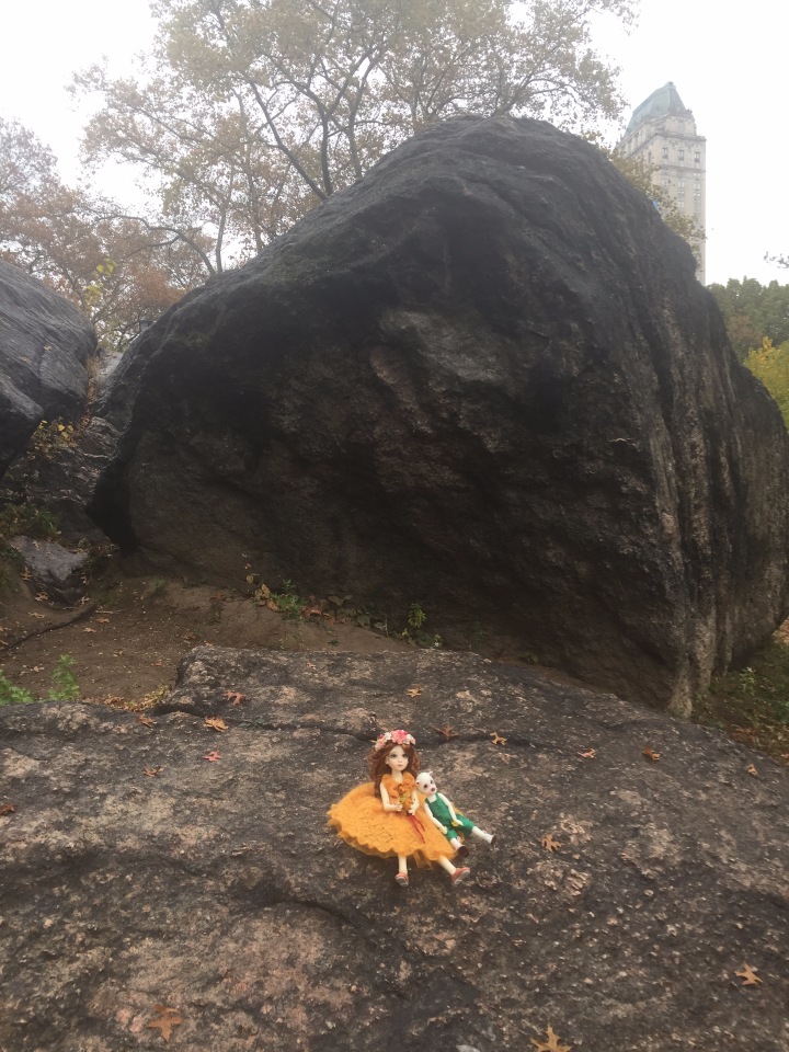 Луна гуляет в Центральном Парке в Манхаттане