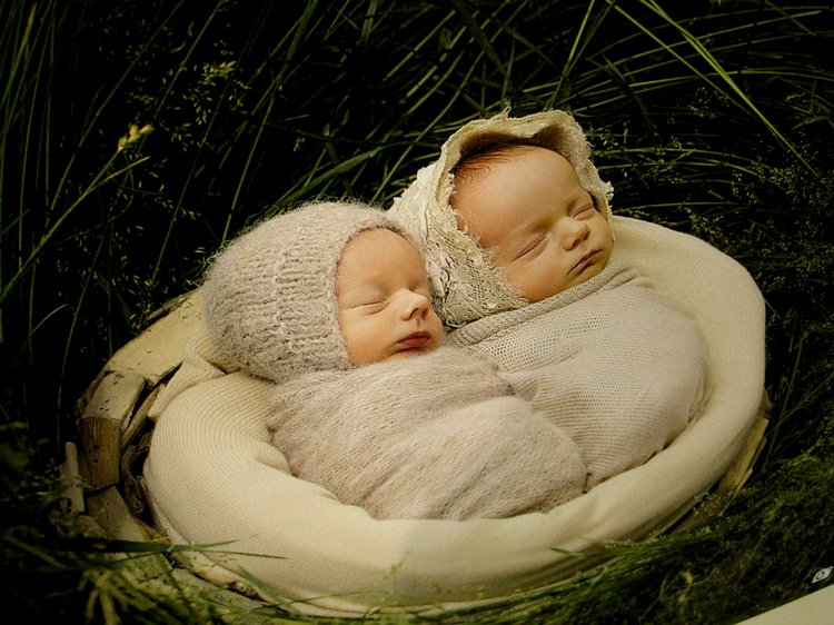 День в музее. Анжела в Государственном Дарвиновском музее