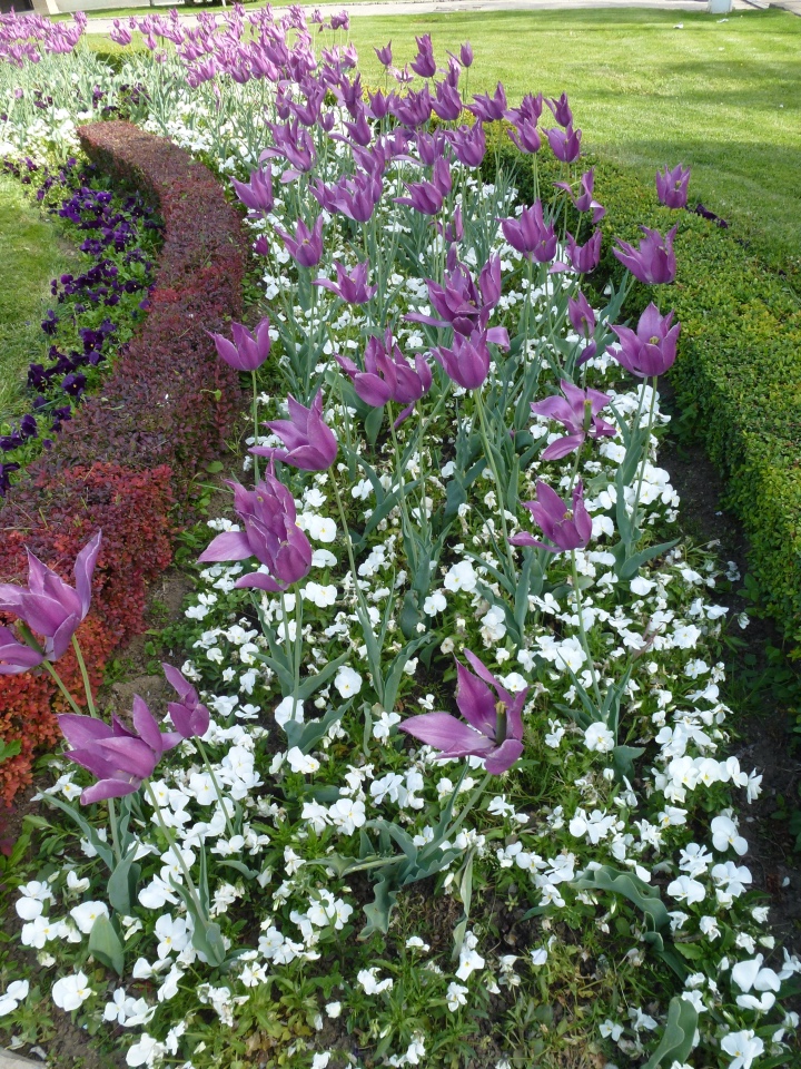 Немного о Белграде, Сербия