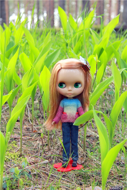 Блайзочки на природе — Оригинальные куклы Blythe (Блайз): Takara