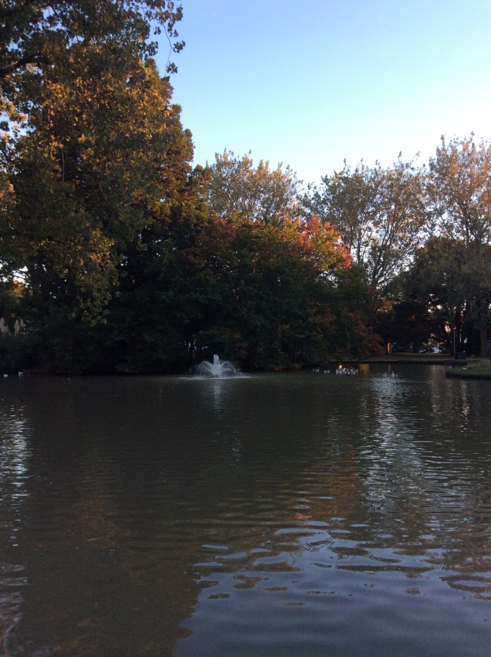 Осень в Австралии — Одежда и обувь для кукол BJD (БЖД): 1/3