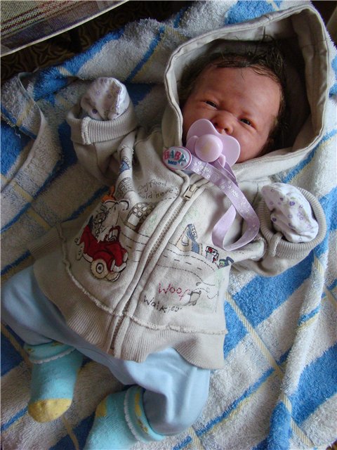 Филипок. Мой переделанный малыш беренжер