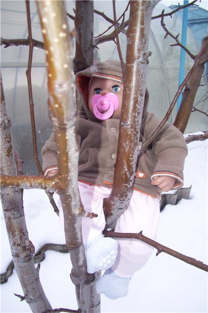 Моя аннабелька — Пупсы Baby Born и Baby Annabell (Zapf): интерактивные (фото 2)