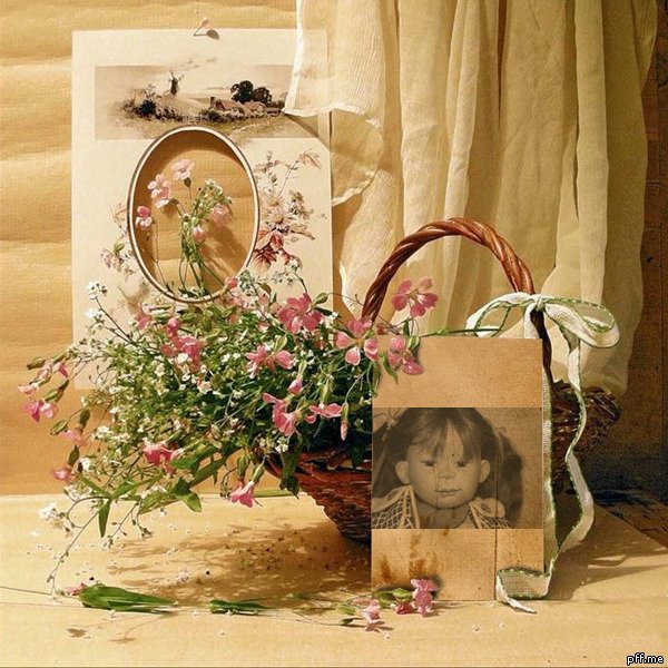 Susi Eimer для Schildkrot - 2012 Motitz и Lena из новой коллекции