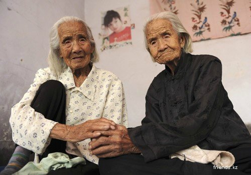 "Но как же вы могли так раздвоиться? Две половинки яблока различней." Близнецы от Кристин Оранж