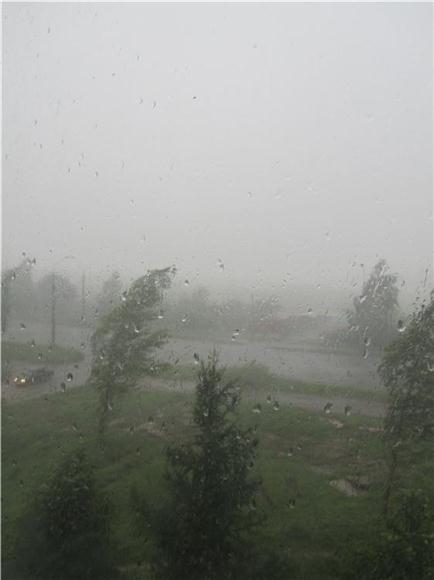 Сказка о том, какая Мэгги добрая девочка. Бывает