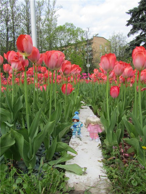 Про дружбу — Куклы Fairyland (ФэйриЛэнд): BJD (БЖД)