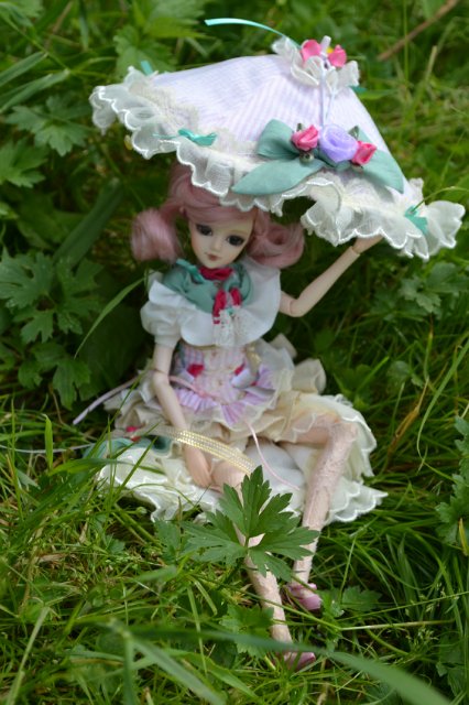 Девушка-пион: джеечка La Rue de Rivoli (J-doll)