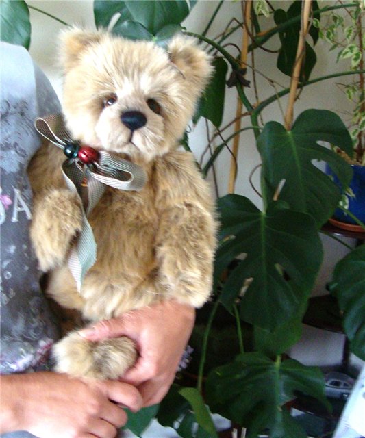 мишка Тедди от Изабель Ли (Isabelle Lee), CHARLIE BEARS collection