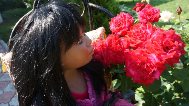 Пурпурная роза Каира от Кристин Оранж (фото 4)