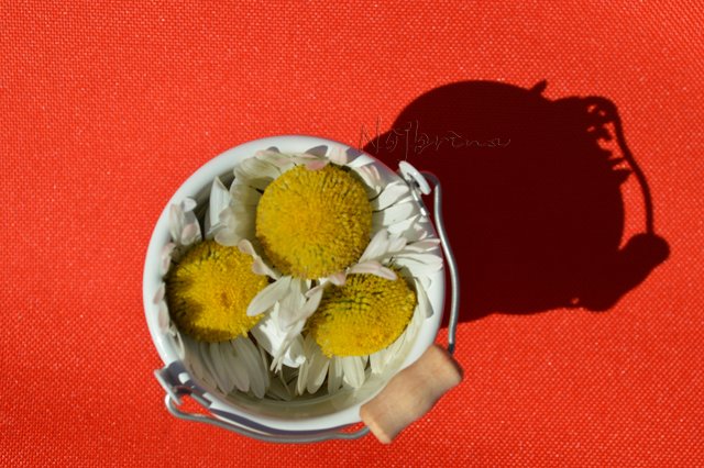 Шито белыми нитками... Вихтели от Rosemarie Anna Muller