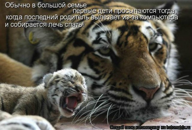 Море позитива) Для поднятия настроения (осторожно! много фото)))) | Бэйбики Море позитива) Для поднятия настроения (осторожно! много фото)))) (фото 8)