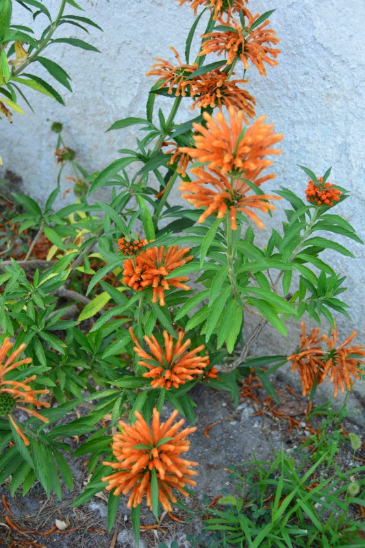 Ницца, Марсель, море и горы