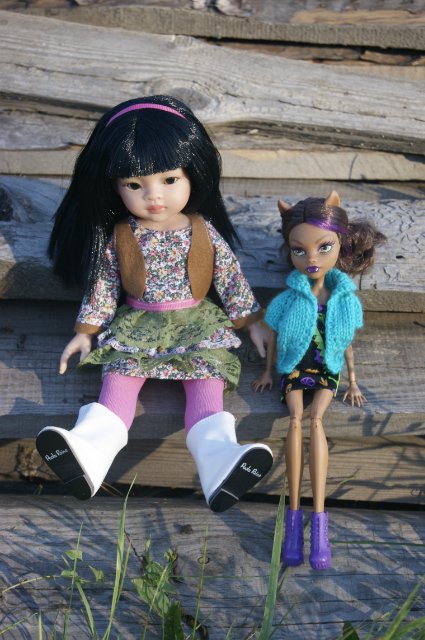 Как Лиу и Клодин за грибами ездили (фото 4)